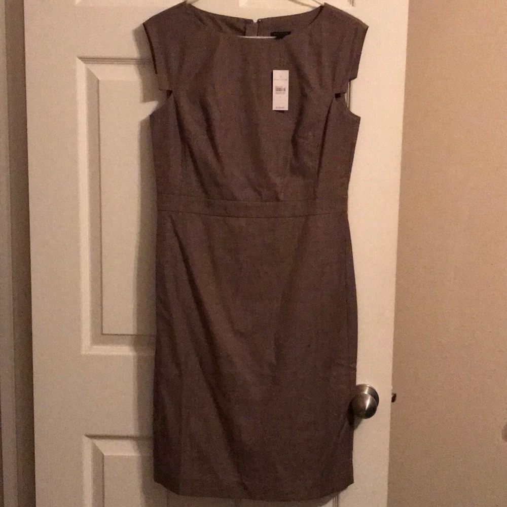 Ann Taylor Dress